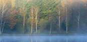 Paradise Lakes Carp Fishing Facilities