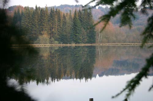  Carp Fishing in France at Paradise Lakes