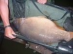 Carp Fishing Catch Report - Bom Bom's ms Fits Carp Fishing Catch Report - Bom Bom's ms Fits