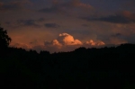 Sun setting over the forest