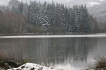 Snow settles on the pines after a cold day in march.