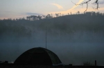 Mist from the birches swim start of another days action