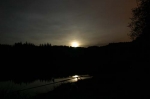 Moon rising over the forest
