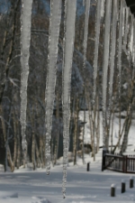 Its looking cold from the club house