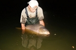 Carp Fishing Catch Report - Summer Mix up. Carp Fishing Catch Report - Summer Mix up.