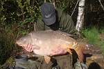 Carp Fishing Catch Report - The King Bee's Carp Fishing Catch Report - The King Bee's