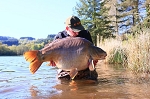 Carp Fishing Catch Report - Phil's May trippers Carp Fishing Catch Report - Phil's May trippers