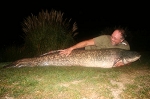 Carp Fishing Catch Report - Pussy Galore Carp Fishing Catch Report - Pussy Galore